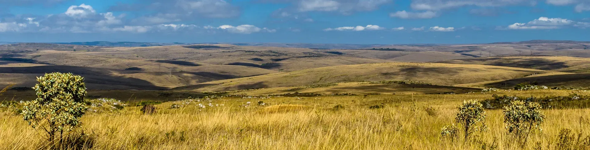 Imagem principal do pacote Serra da Canastra